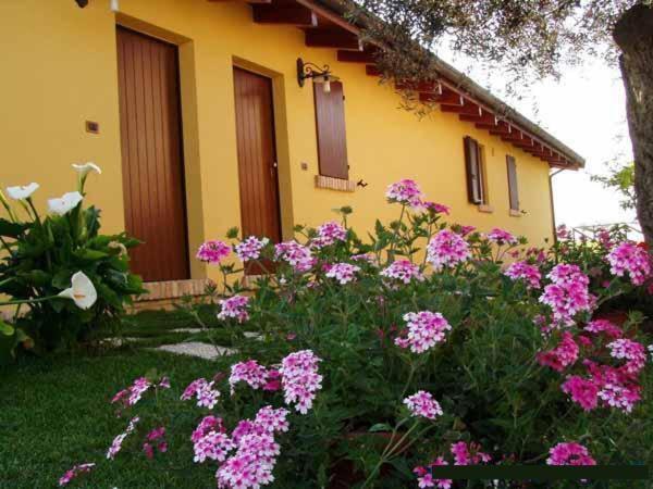 Agriturismo Tenuta Santa Maria Notaresco Exterior foto